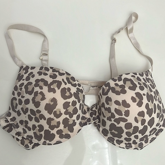 Rachel Zoe Other - Rachel Zoe Push Up 38c